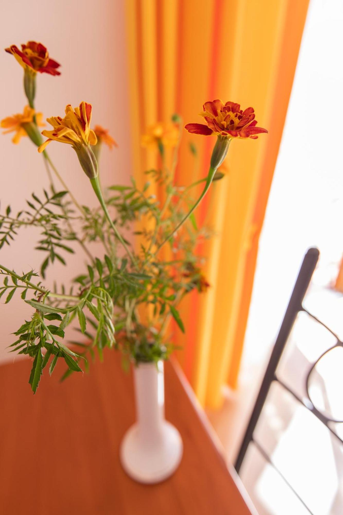 Sant'Anna Bed & Breakfast Agerola Extérieur photo